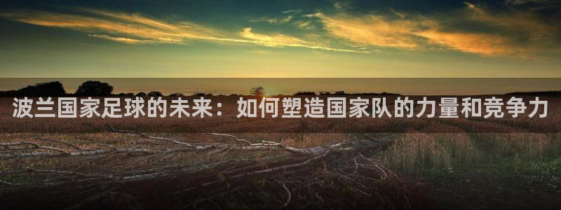 看球体育通直播app下载：波兰国家足球的未来：如何塑造国家队的力量和竞争力