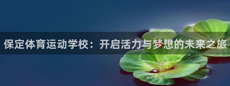 看球体育电视app：保定体育运动学校：开启活力与梦想的未来之旅