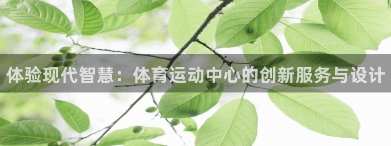 看球体育下载：体验现代智慧：体育运动中心的创新服务与设计
