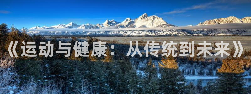 看球体育高清直播在线观看：《运动与健康：从传统到未来》