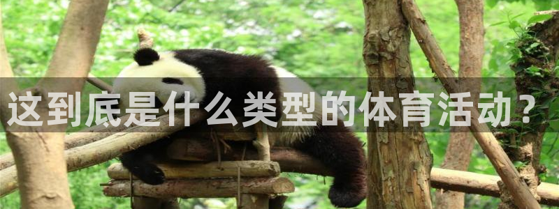 看球体育app下载最新版本：这到底是什么类型的体育活动？