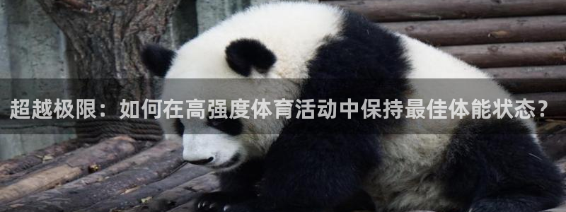 看球体育聚合app：超越极限：如何在高强度体育活动中保持最佳体能状态？