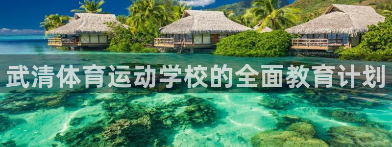 看球体育电视app：武清体育运动学校的全面教育计划
