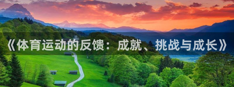 看球体育平台：《体育运动的反馈：成就、挑战与成长》