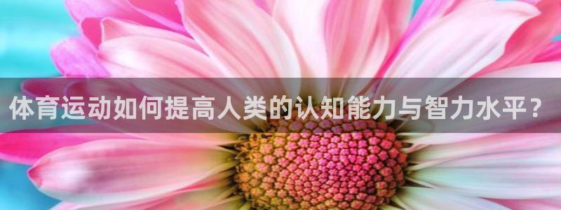 看球体育足球直播：体育运动如何提高人类的认知能力与智力水平？