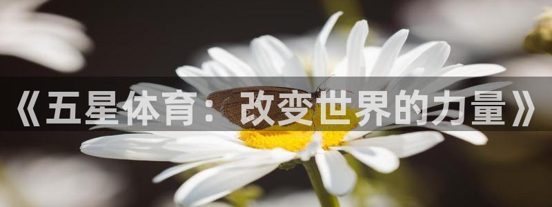 看球体育科技有限公司：《五星体育：改变世界的力量》