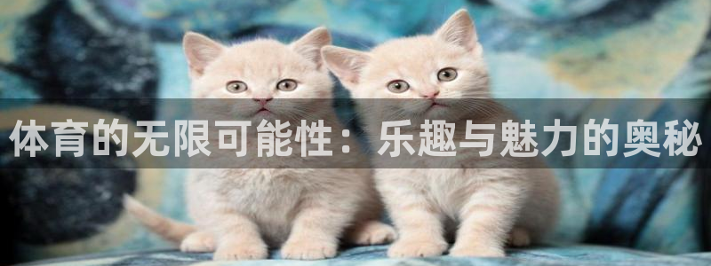 看球体育广西速伟科技有限公司：体育的无限可能性：乐趣与魅力的奥秘
